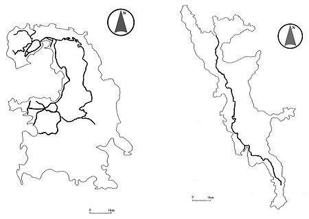 Figure 1  Measurement routes in Chichijima and Hahajima 